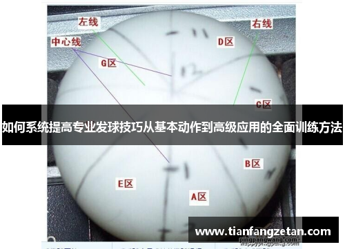 如何系统提高专业发球技巧从基本动作到高级应用的全面训练方法