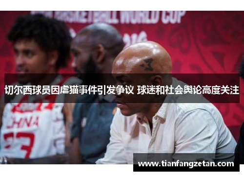 切尔西球员因虐猫事件引发争议 球迷和社会舆论高度关注