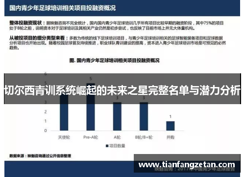 切尔西青训系统崛起的未来之星完整名单与潜力分析